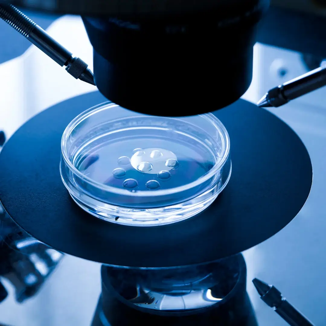 ICSI Treatment (Intracytoplasmic Sperm Injection) at Embrion IVF Vikhroli, Mumbai